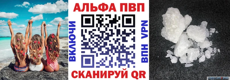 APVP СК Бердск
