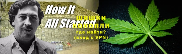 apvp Алексин